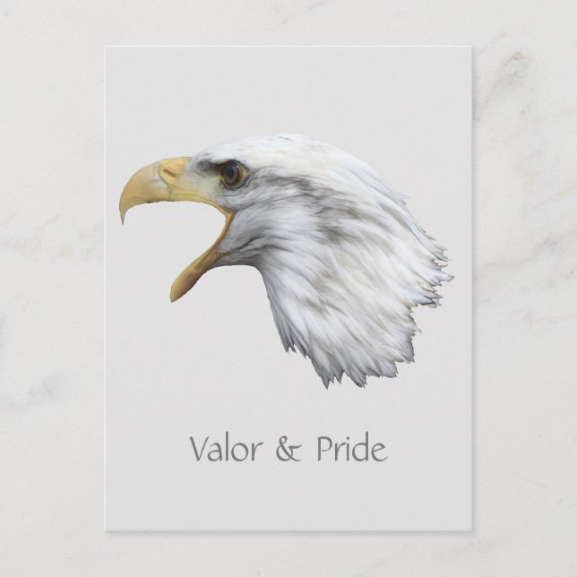 Bald Eagle Valour & Pride customisable Postcard (Front)