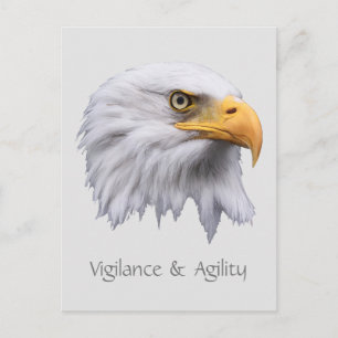 Bald Eagle Vigilance & Agility customisable Postcard