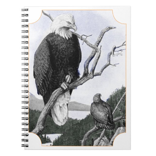 Bald Eagle Vintage Illustration Notebook (Front)