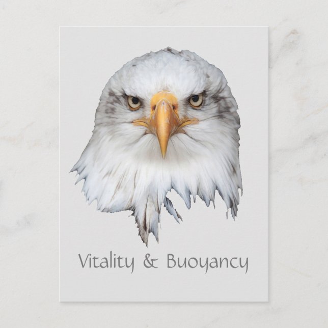 Bald Eagle Vitality & Buoyancy customisable Postcard (Front)