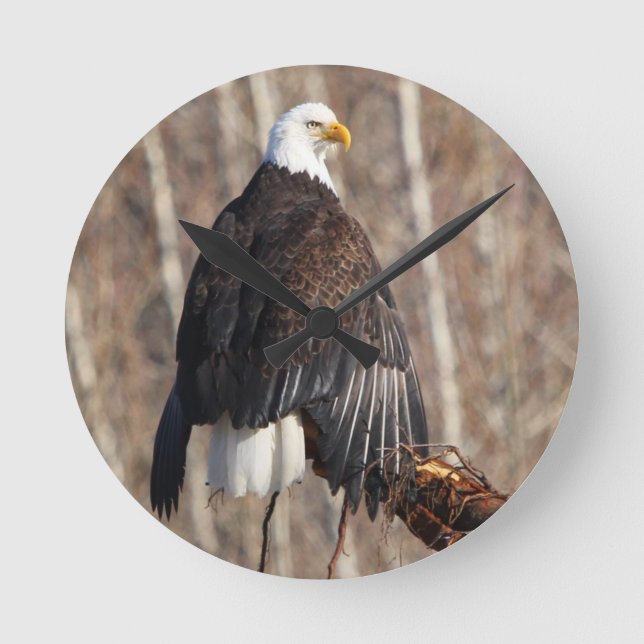 Bald Eagle Wall Clock (Front)