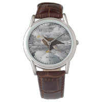Bald Eagle watch