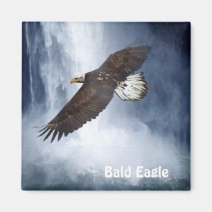Bald Eagle & Waterfall Wildlife Nature Magnet
