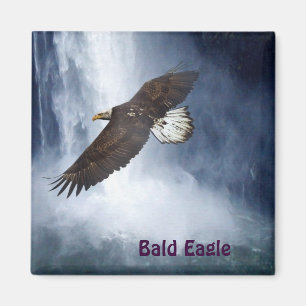 Bald Eagle & Waterfall Wildlife Nature Magnet