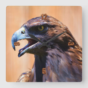 Bald Eagle Wildlife Art Portrait II Square Wall Clock
