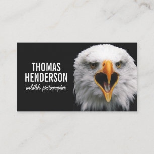 Bald Eagle Wildlife Photographer Business Card