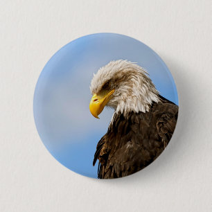Bald Eagle Wildlife Portrait Art 6 Cm Round Badge