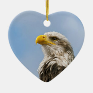 Bald Eagle Wildlife Portrait Art Ceramic Ornament