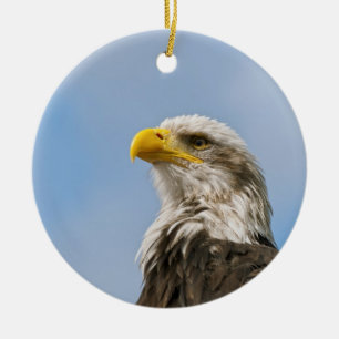 Bald Eagle Wildlife Portrait Art Ceramic Tree Decoration