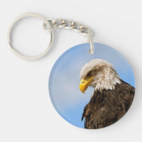 Bald Eagle Wildlife Portrait Art