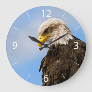 Bald Eagle Wildlife Portrait Art Large Clock