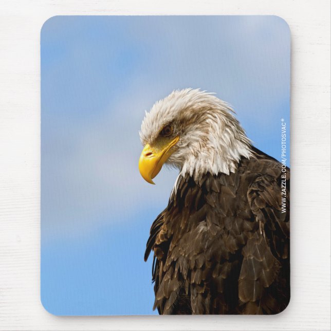 Bald Eagle Wildlife Portrait Art Mouse Pad (Front)