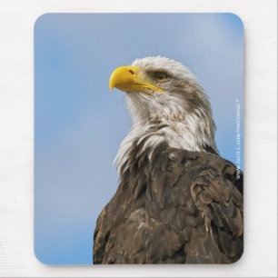Bald Eagle Wildlife Portrait Art Mouse Pad