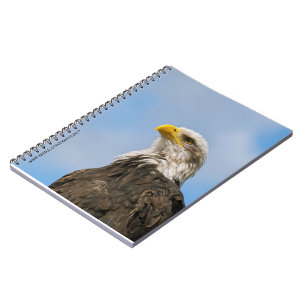 Bald Eagle Wildlife Portrait Art Notebook