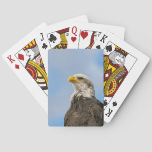 Bald Eagle Wildlife Portrait Art Playing Cards