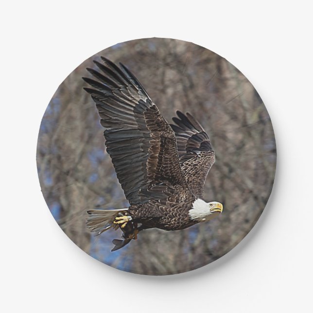 Bald Eagle with a Catfish Paper Plate (Front)