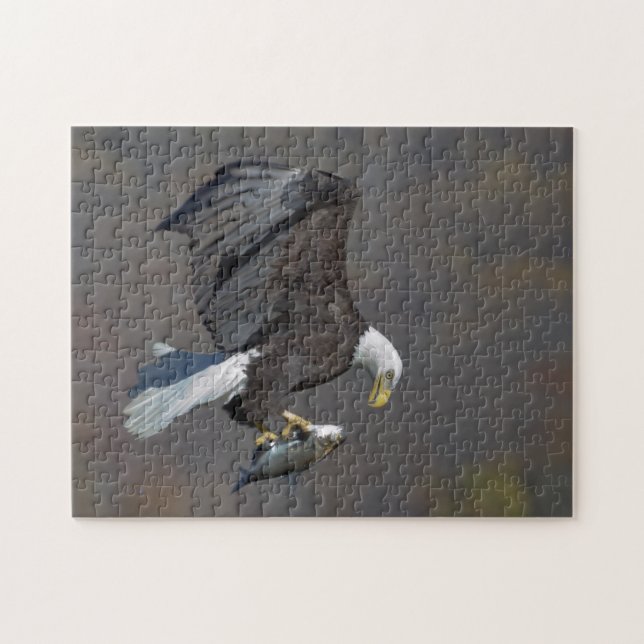 Bald Eagle with a fish Jigsaw Puzzle (Horizontal)