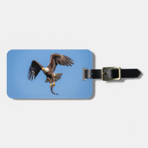 Bald Eagle with a fish Luggage Tag