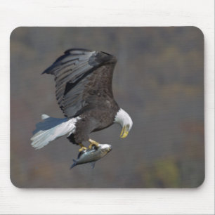 Bald Eagle with a fish Mouse Pad