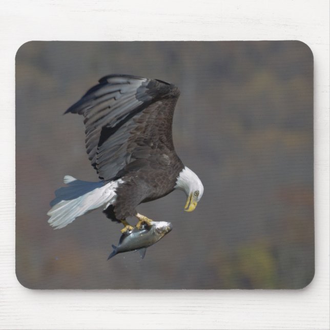 Bald Eagle with a fish Mouse Pad (Front)
