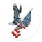 Bald Eagle with American Flag