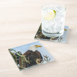 Bald Eagle with Crow Photobomb Funny Glass Coaster