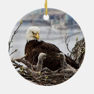 Bald Eagle with eaglets Ceramic Tree Decoration