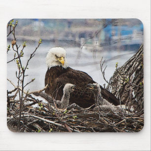 Bald Eagle with eaglets Mouse Pad