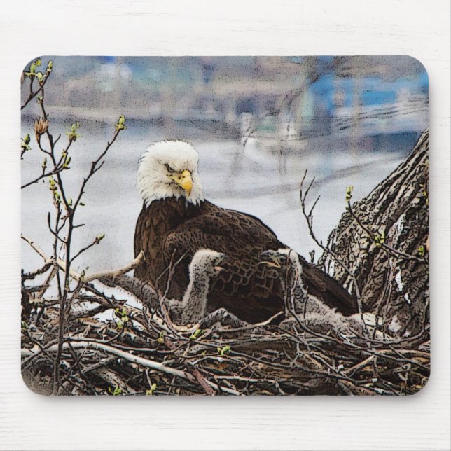 Bald Eagle with eaglets Mouse Pad (Front)