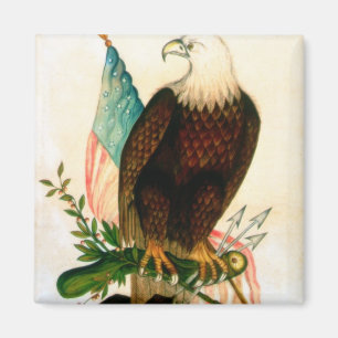 Bald eagle with flag magnet