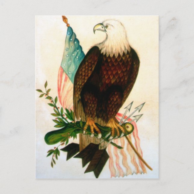 Bald eagle with flag postcard (Front)
