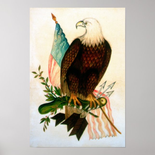 Bald eagle with flag poster (Front)