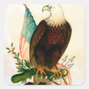 Bald eagle with flag square sticker
