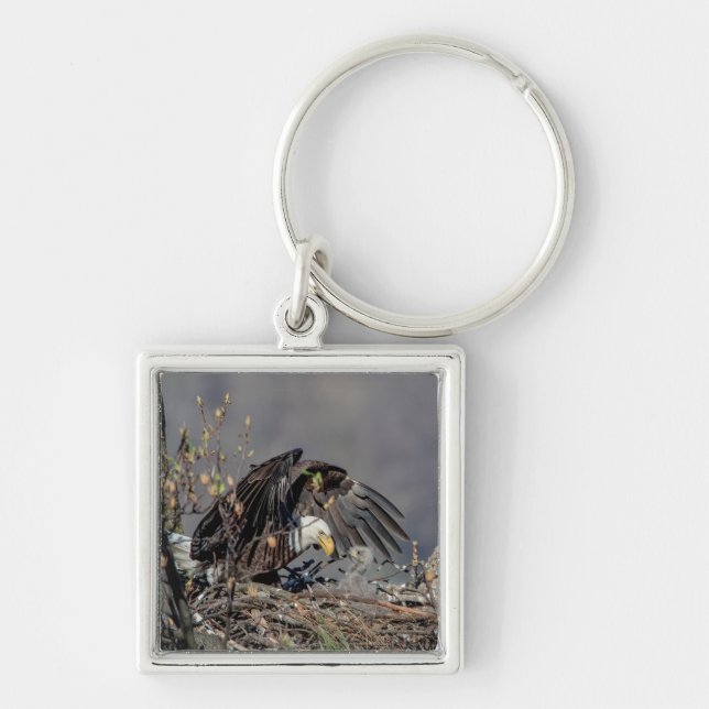 Bald Eagle with her baby Key Ring (Front)