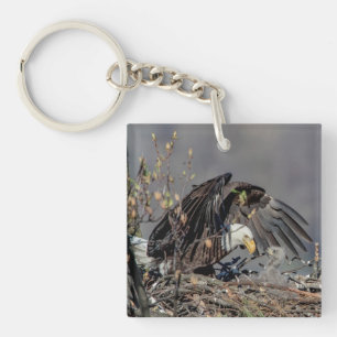 Bald Eagle with her baby Key Ring