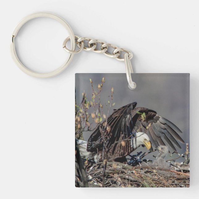 Bald Eagle with her baby Key Ring (Front)