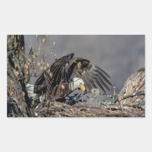 Bald Eagle with her baby Rectangular Sticker