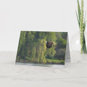 Bald Eagle with Salmon Pacific Northwest Blank Hol Holiday Card