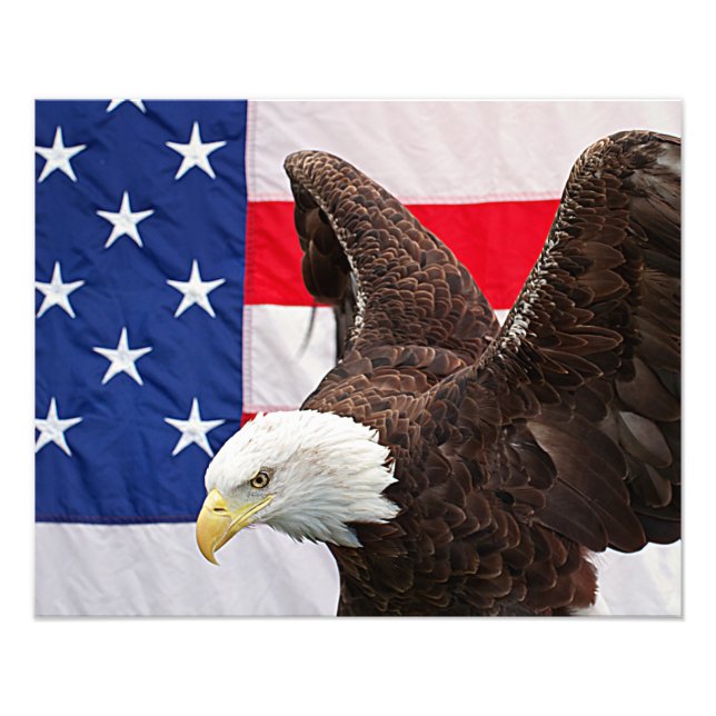 Bald Eagle with the American Flag Photo Print (Front)