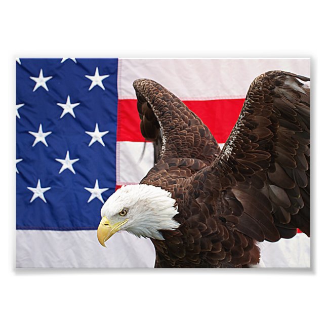 Bald Eagle with the American Flag Photo Print (Front)
