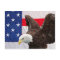 Bald Eagle with the American Flag