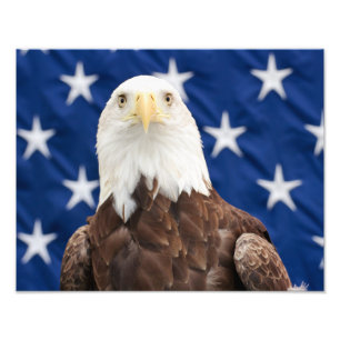 Bald Eagle with the Stars Photo Print