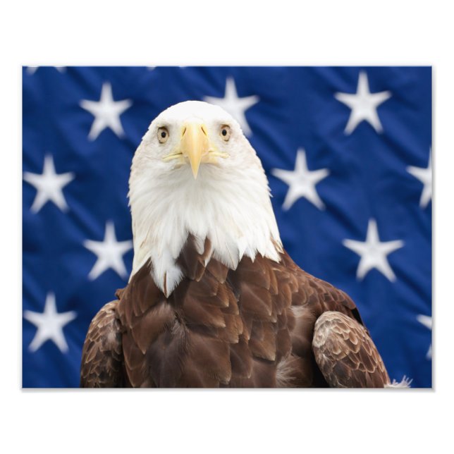 Bald Eagle with the Stars Photo Print (Front)