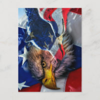 Bald Eagle Wolf American Flag