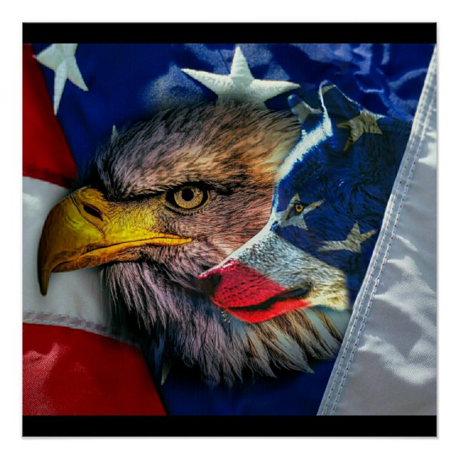 Bald Eagle Wolf American Flag Poster (Front)