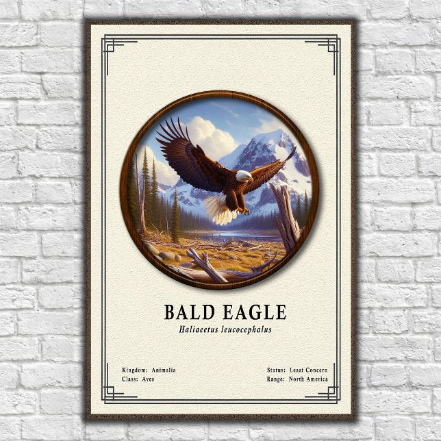 Bald Eagle Zoology Series Poster (Creator Uploaded)
