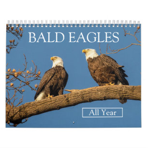 BALD EAGLES All Year Calendar