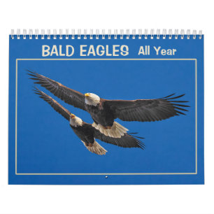 Bald Eagles All Year Calendar