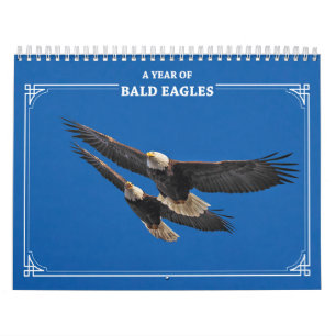 Bald Eagles All Year Calendar