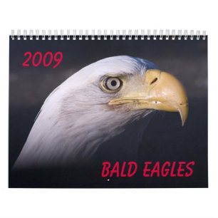 Bald Eagles Calendar